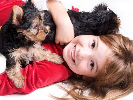 10 пород мелких собак, которые дружелюбно относятся к детям