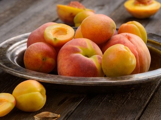 Бархатистые фрукты. Готовим из персиков и абрикосов