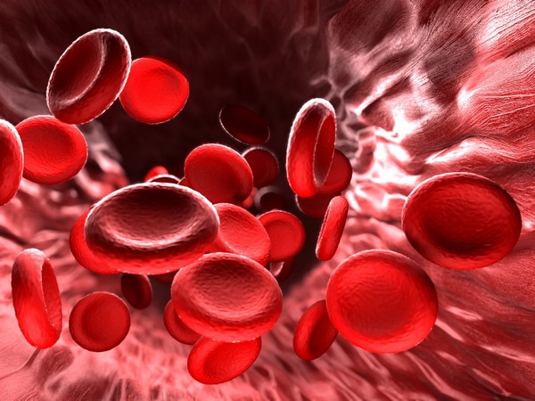Железодефицитная анемия: причины, симптомы, диагностика и лечение