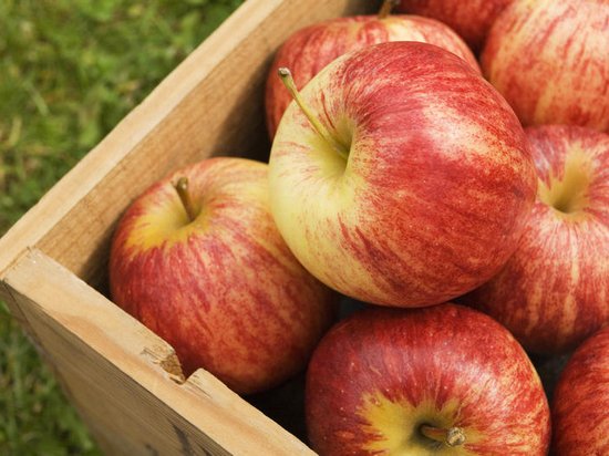 Самые сладкие яблоки. Какой летний сорт выбрать?