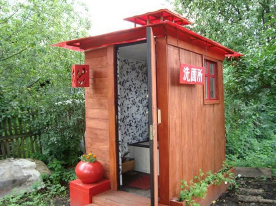 Дизайн туалета на дачном участке