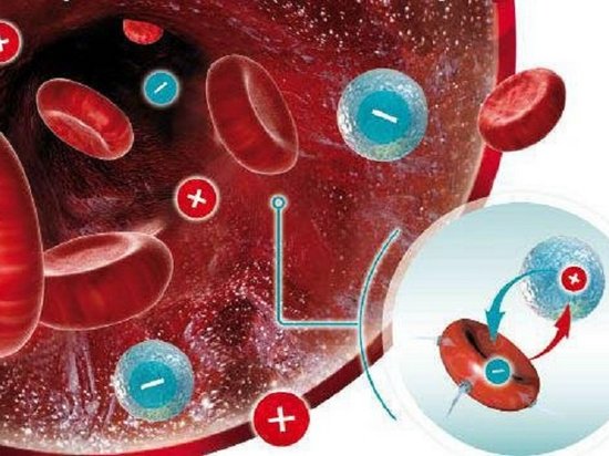 5 фактов о своей группе крови, которые жизненно необходимо знать