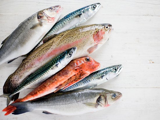 10 видов рыбы, которую лучше не есть