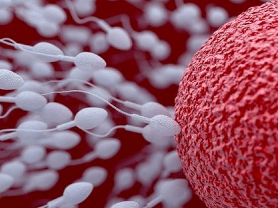 7 признаков здоровой спермы: вот как можно уберечь мужскую плодовитость