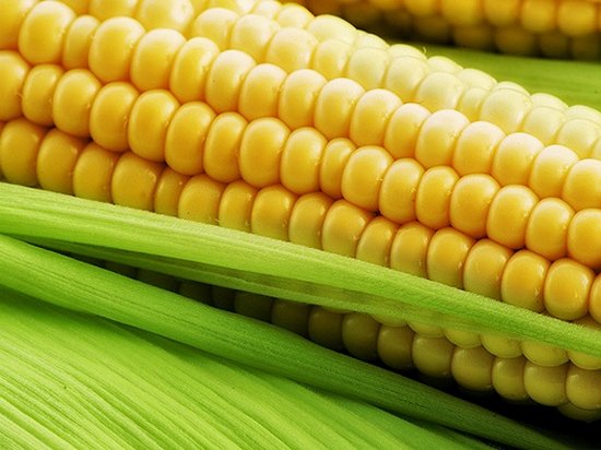 6 причин отказаться от кукурузы навсегда