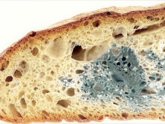 Что будет, если съесть хлеб с плесенью