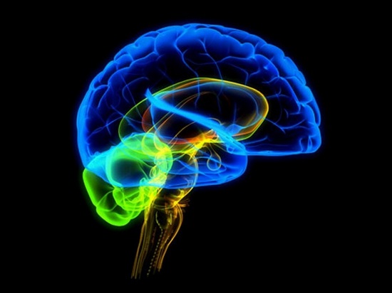 Здоровье головного мозга