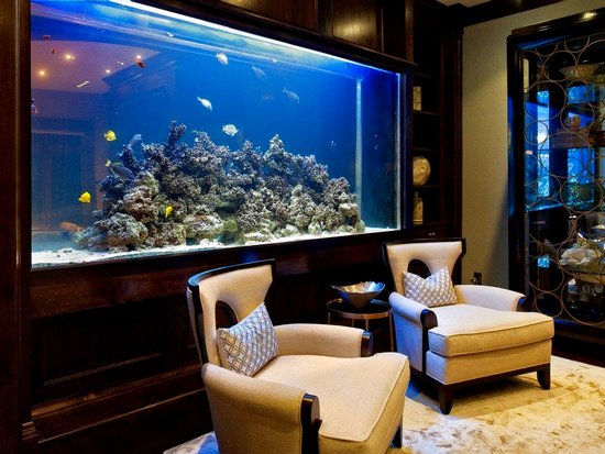 Как подобрать аквариум к интерьеру дома?