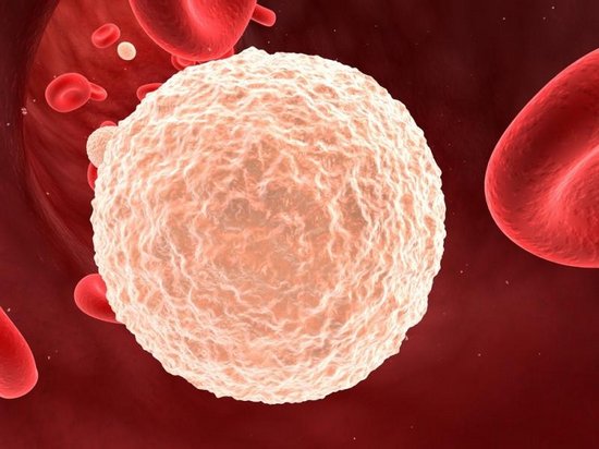 Нормальный уровень лейкоцитов в крови у детей