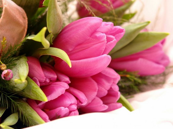 Как сделать нежные розовые тюльпаны