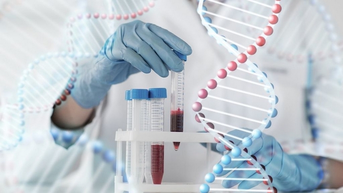 Близнецовый ДНК-тест: что о нем следует знать?