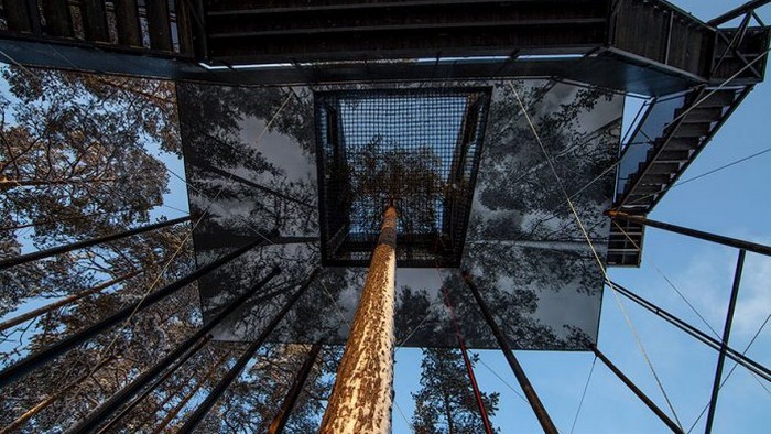Эта гостиница на деревьях в далекой Лапландии