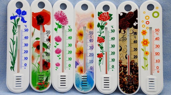 Бытовые термометры для дома: особенности выбора