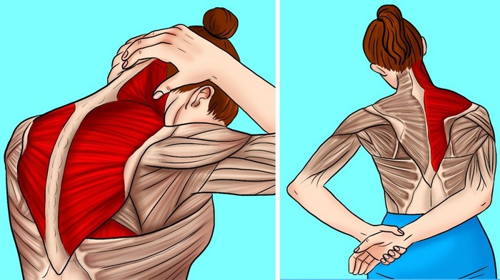5 упражнений на растяжку, чтобы снять напряжение в плечах