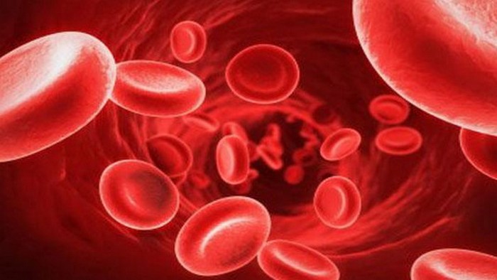 О чём свидетельствует низкий уровень гемоглобина?