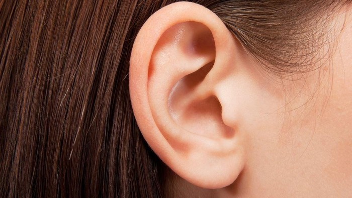 Если на мочке уха появляется непонятная складочка, это бывает ранним признаком атеросклероза.