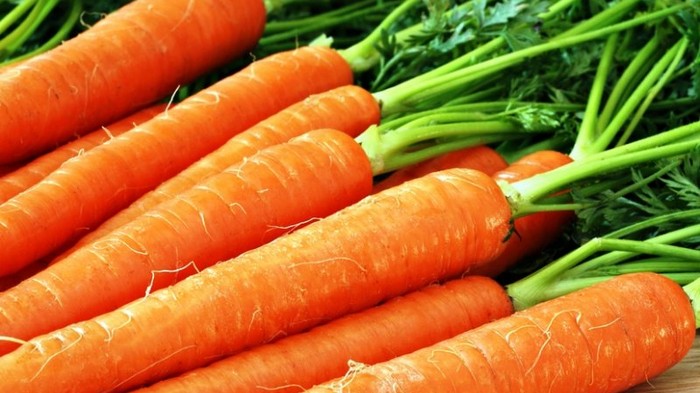 Все о полезных свойствах моркови