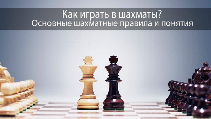 Игра в шахматы: основные правила
