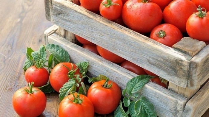 Как правильно хранить помидоры в домашних условиях