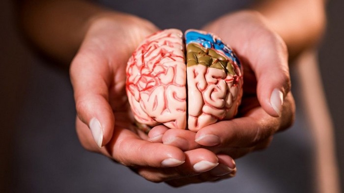 8 привычек, которые вредят вашему мозгу