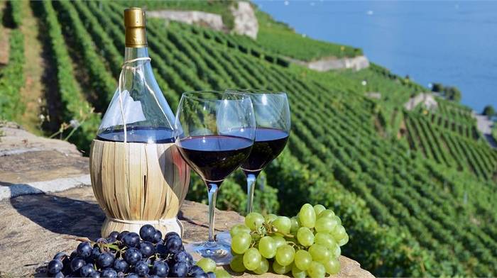 Какими преимущества и особенностями выделяется вино Кьянти?