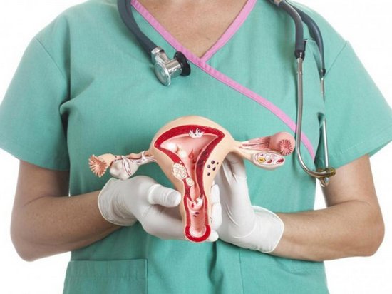 Дисплазия шейки матки: источники возникновения и способы лечения
