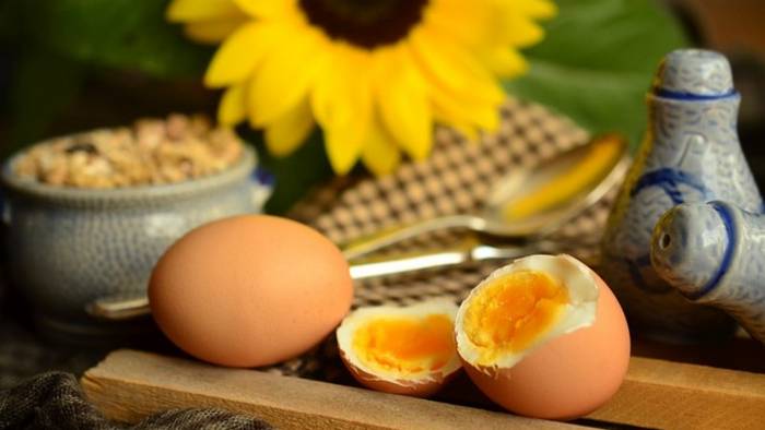 Как правильно варить яйца: разные способы