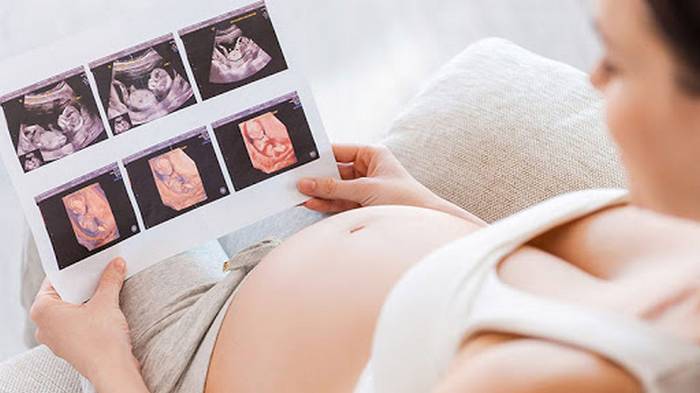 Этапы развития ребенка в утробе матери