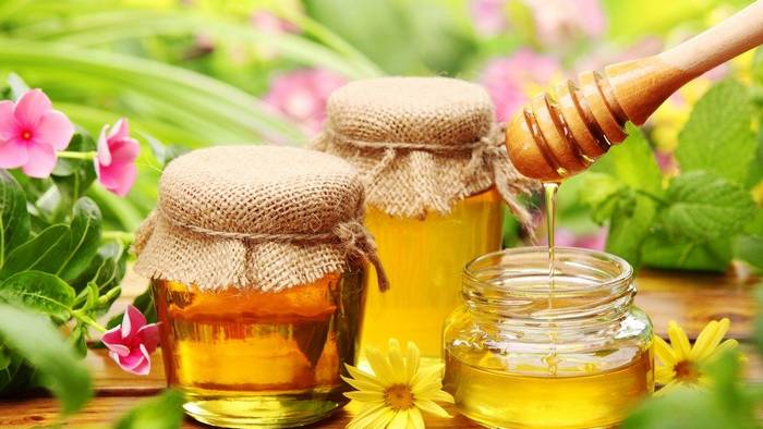 5 целебных рецептов мёда для здорового образа жизни