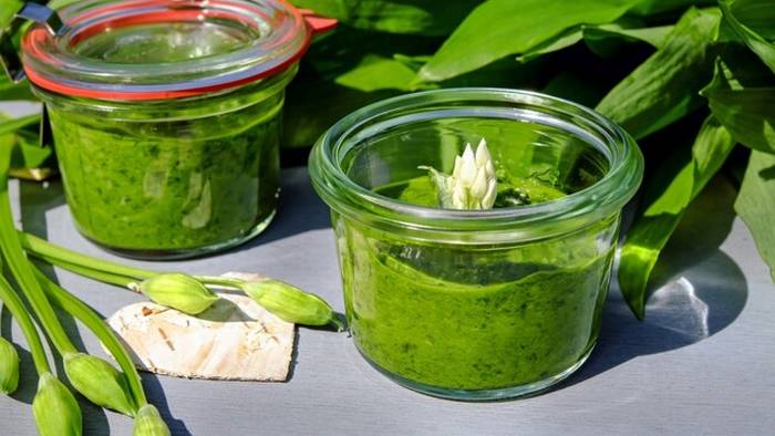 Зеленый чеснок: рецепты вкусных домашних блюд