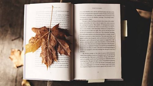 Подборка книг для чтения осенью