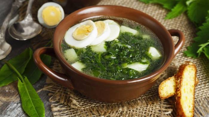 Как приготовить щи из щавеля