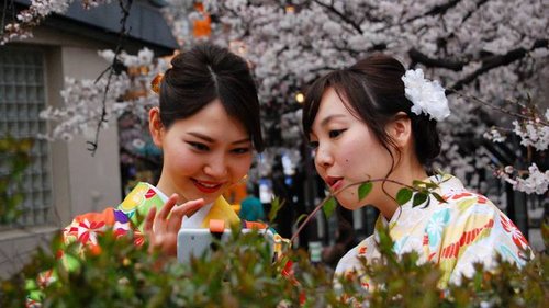 Интересные факты о жизни в Японии