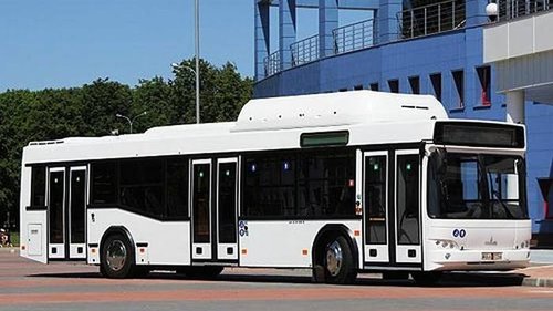 Автобусы МАЗ: особенности и характеристики