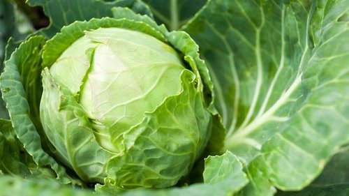 10 овощей, которые стоит употреблять, если хочешь скинуть пару кило