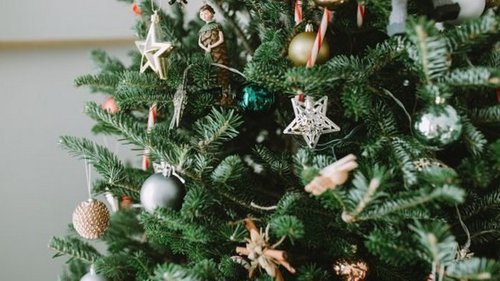 8 ценных рекомендаций, как продлить жизнь новогодней елке
