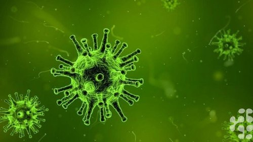 Как защитить себя от вирусной инфекции