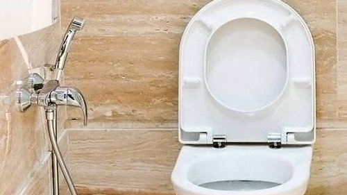 Как установить гигиенический душ в туалете
