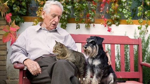 Почему коты и собаки помогают справиться с одиночеством