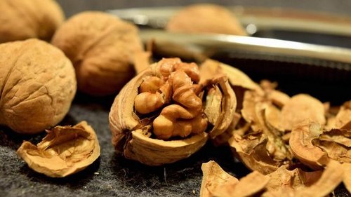Как научиться выбирать грецкие орехи