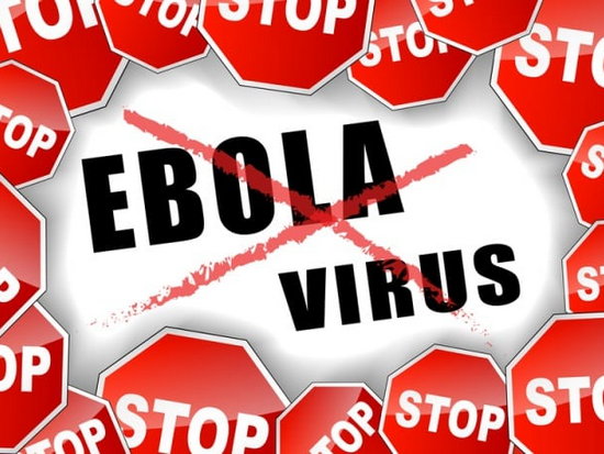 Вирус Эбола – стоит ли беспокоиться