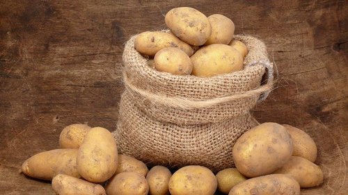 Древний славянский способ хранения картошки, чтобы обойтись без порчи продукта