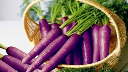 Экзотика на грядке: в чём отличие чёрной и фиолетовой моркови от обычной?