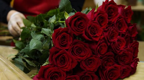 Троянда — найкраща квітка, яка допоможе без слів виразити свої почуття