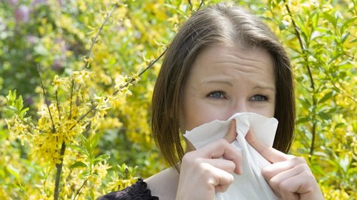 Выжить с аллергией: 6 советов, которые облегчат сезон
