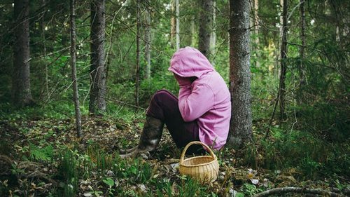 Досуг грибника: 10 вещей, которые могут угрожать нам в лесу