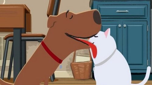 Посмотрите это с ребенком: трогательный мультфильм о дружбе кошки с собакой