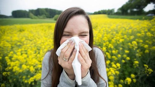 Как отличить аллергию от простуды и гриппа?