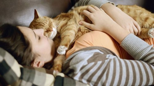 Можно ли кошке спать на кровати: польза и вред