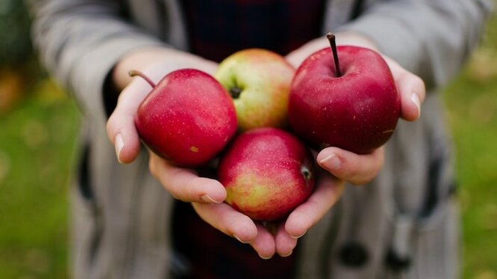 Пять причин съедать минимум одно яблоко в день